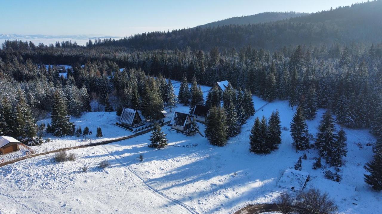Mila House Tara Villa Bajina Basta Dış mekan fotoğraf