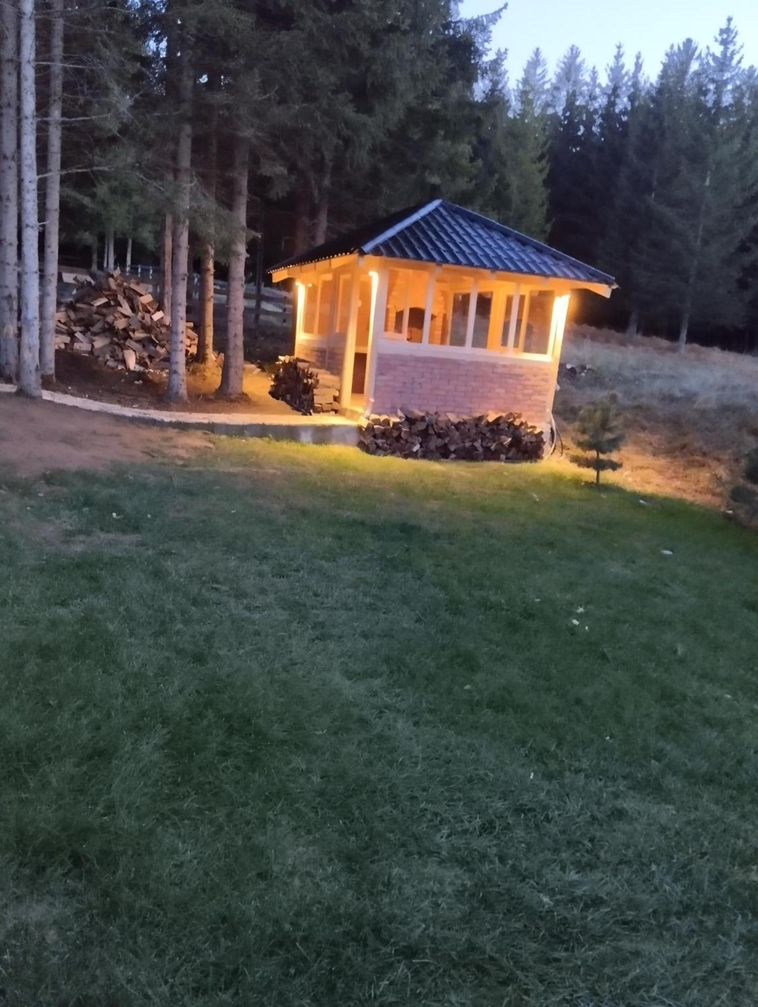 Mila House Tara Villa Bajina Basta Dış mekan fotoğraf